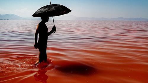 Lake Urmia in Iran turned from green to red in just a few months, as increasing salinity in the water spurred the growth or organisms producing red pigment.